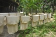 Các nhà đầu cơ Trung Quốc đẩy giá cao su toàn cầu lên mức cao nhất trong 5 năm